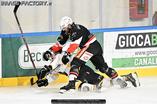 2025-01-25 Mastini Varese-Hockey Feltre 4338 Alex Bertin